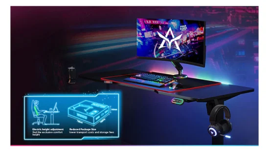 Wholesale Customizable Motorized Single Motor Electric Computer Laptop Height Adjustable Sit Stand Table Gaming Standing Desk with LED RGB Lighting